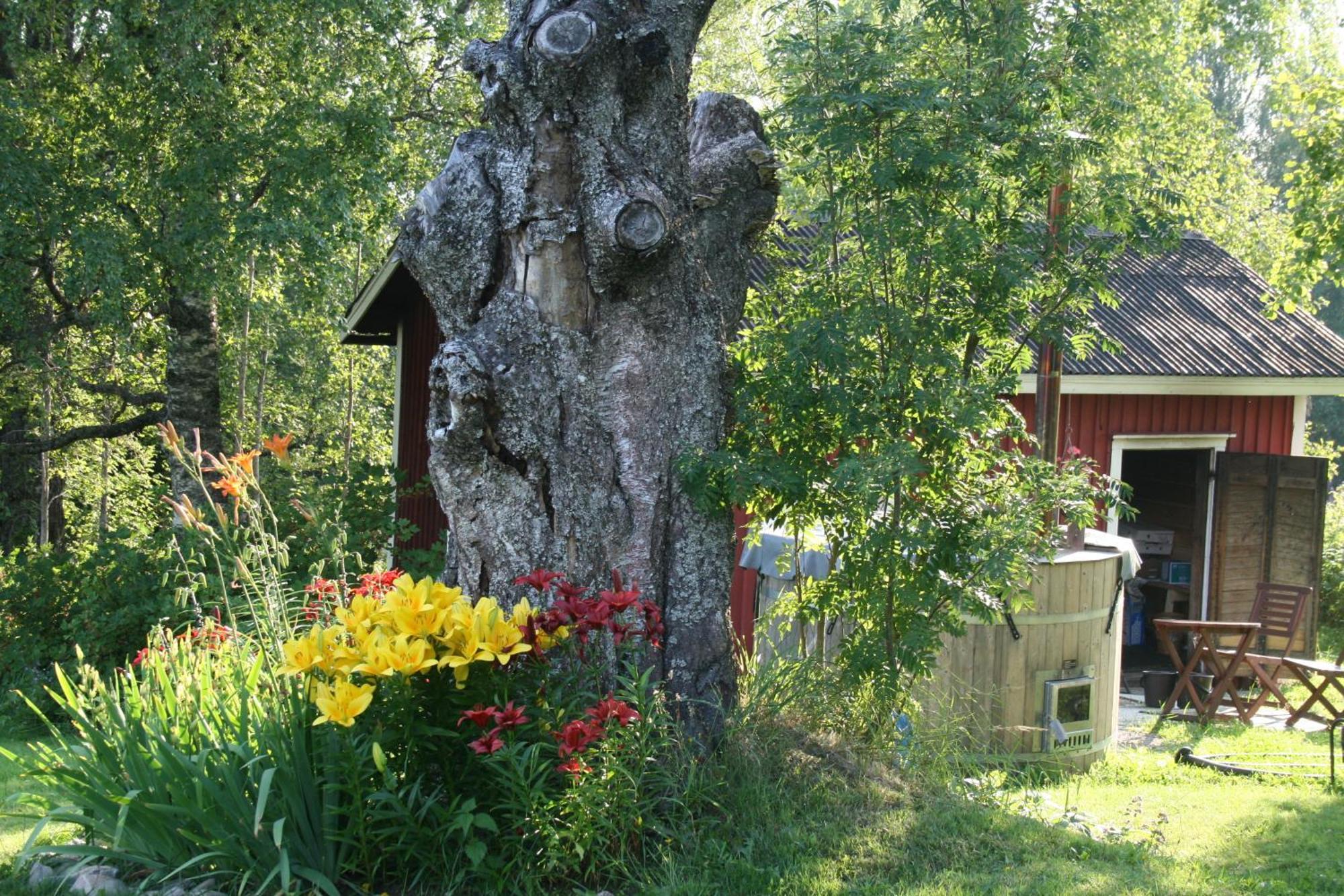 Valkeisen Loma Vila Ähtäri Exterior foto